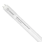 Ledvance LED Röhre T8 Performance (HF) Ultra Output 15W 2400lm - 840 Kaltweiß | 120cm - Ersatz für 36W