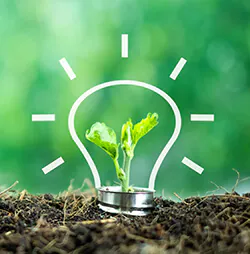 LED-Birne im Grünen